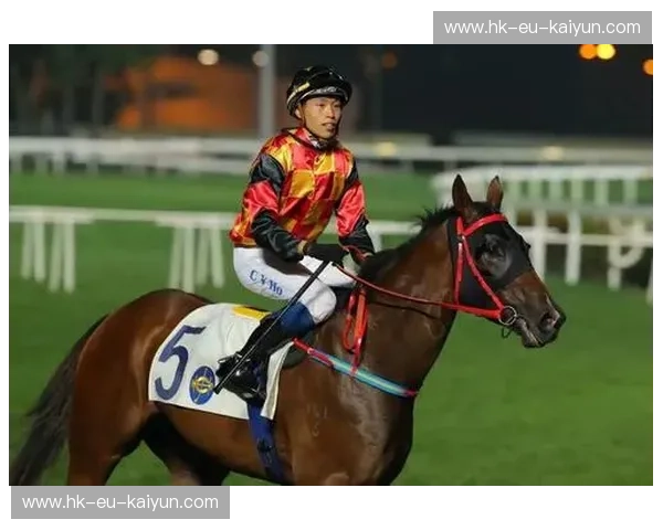 开云官网赛事播放——畅享高清赛事盛宴